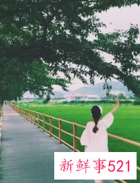 女人旺财的微信网名