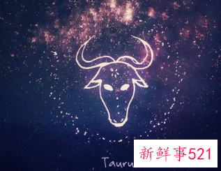 金牛座值得尝试做什么