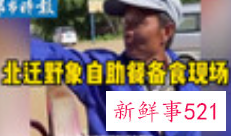 北迁野象自助餐备食现场