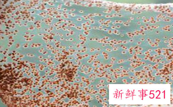 海藻面膜用热水还是冷水洗