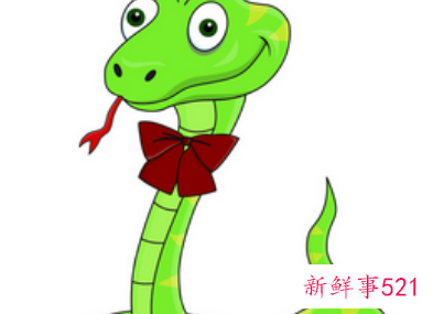 蛇的特性及精神