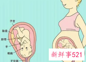 胎儿37周足月还是38周足月