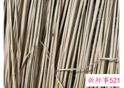 在家自制豆豉的方法