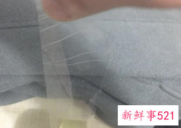 一招简单清除猫毛