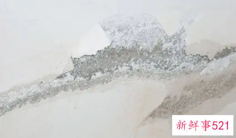 外墙渗水内墙发霉怎么处理