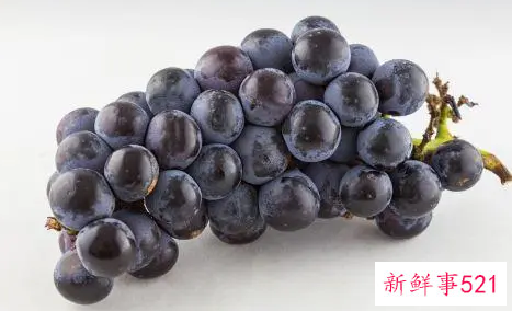 葡萄有哪些作用和特点呢