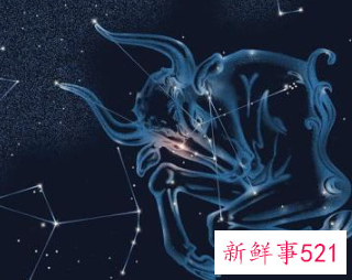 金牛座值得尝试做什么