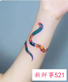 女孩子为什么不能纹蛇