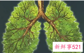 大叶性肺炎的偏方有哪些