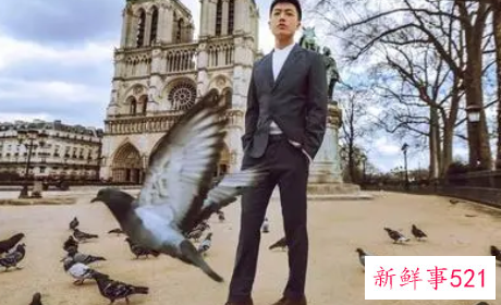 星座配对最完美的星座组合