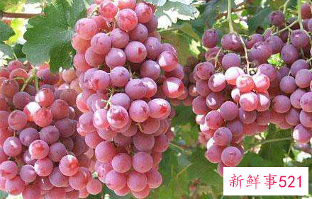 葡萄有哪些作用和特点呢