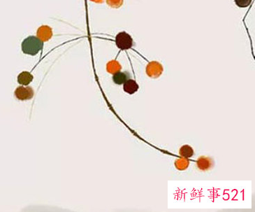 属虎和属猴的夫妻结局生肖