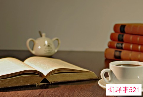 本年度的工作总结