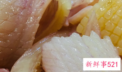 墨鱼和鱿鱼的区别