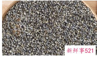 在家自制豆豉的方法