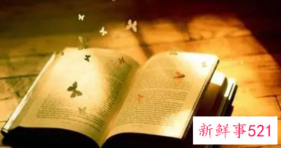 最新的读书心得体会