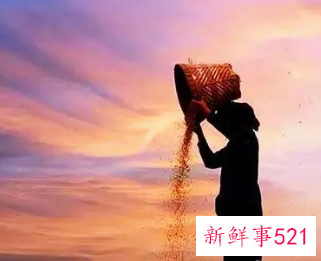 梦见勤奋有什么征兆？