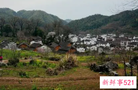 梦见乡村有什么征兆