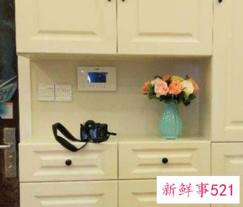 鞋柜上摆放什么花好