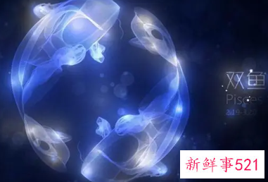 双鱼座喜欢人是什么样的