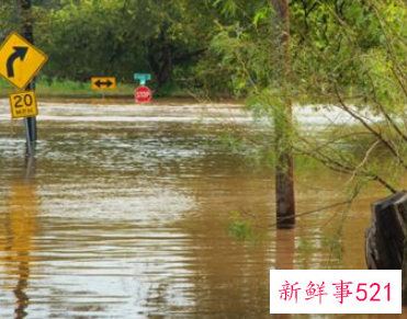 梦见到处都是水有什么征兆