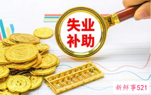 今年的失业补助金政策有啥特点