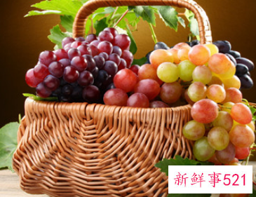 红提子籽能吃吗