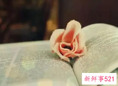 最新的读书心得体会