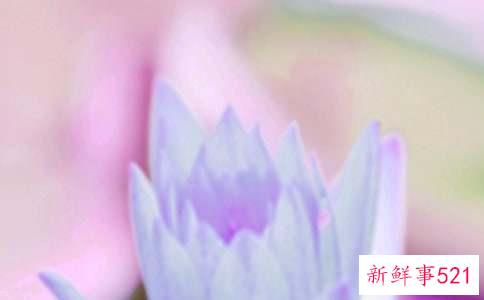 幼儿园夏至习俗介绍