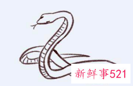 1977年属蛇人一生运势