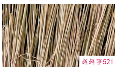 在家自制豆豉的方法