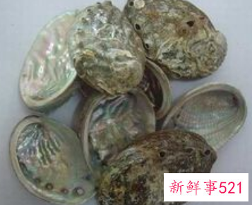 石决明和决明子有什么区别