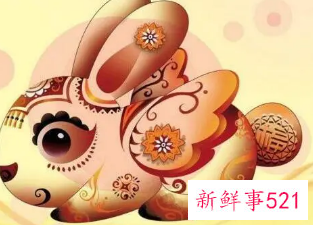 属兔取什么网名财运好女