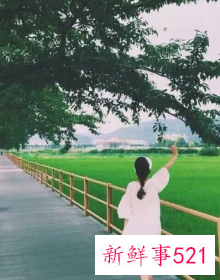 取一个王姓谐音微信名