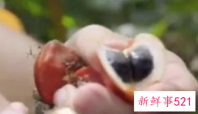 世界上最甜的水果是什么