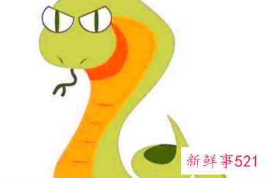 蛇的特性及精神