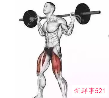 负重深蹲可以瘦腿吗