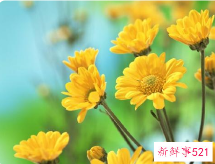 夫妻应该互相查手机吗