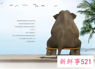 野生动物的保护措施有哪些