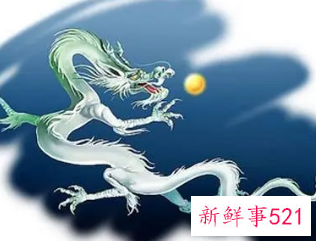 属龙的人招财摆件