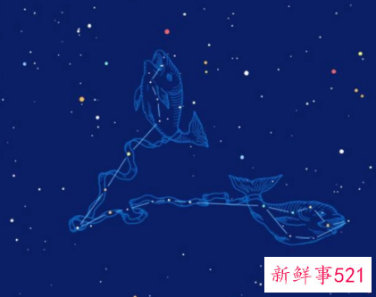 双鱼男适合的10大职业