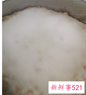 家庭自制豆豉到底要发酵几天