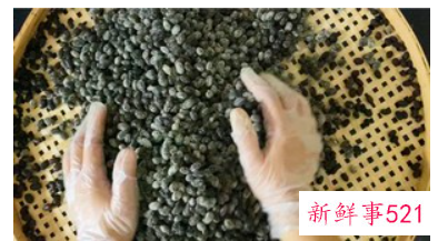 在家自制豆豉的方法