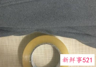 一招简单清除猫毛