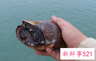 中午可以放生吗