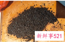 家庭自制豆豉到底要发酵几天