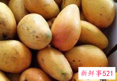 未成熟的芒果怎么催熟