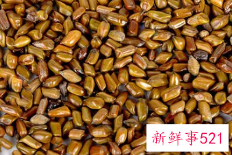 石决明和决明子有什么区别