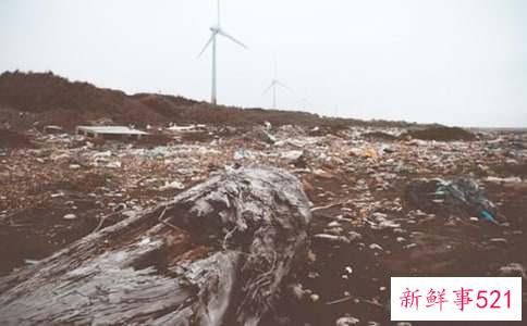 垃圾老婆的十大表现