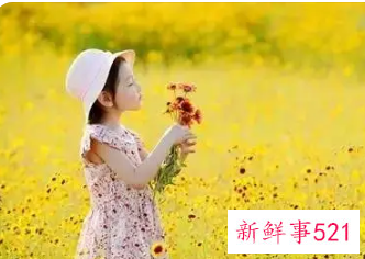 安静优美的女孩名字